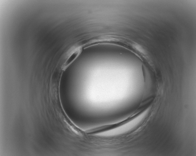 X0000081351177200701182039