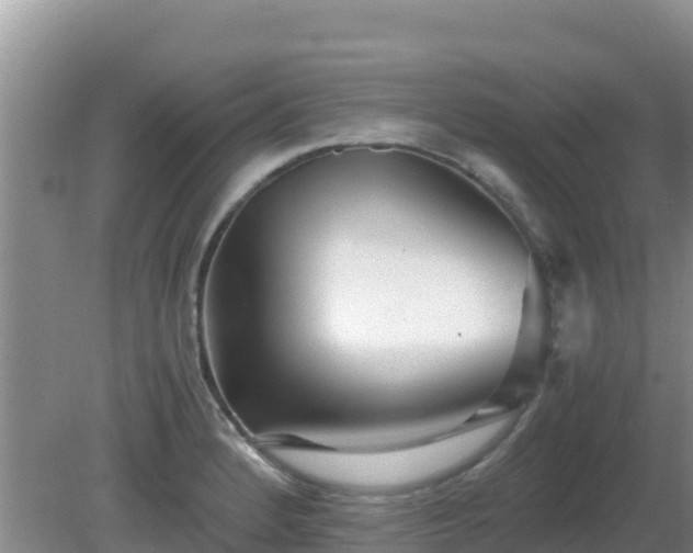 X0000081351184200701182039