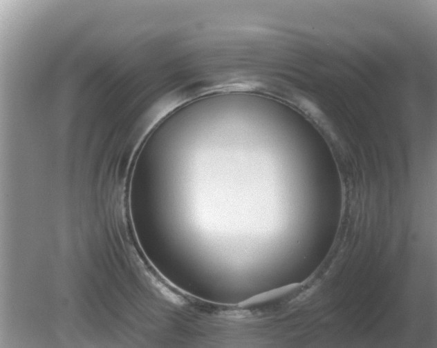 X0000081351186200701182039