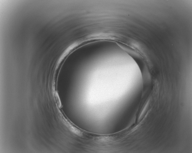 X0000081351188200701182039