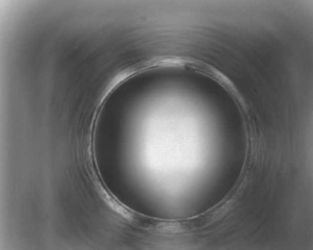 X0000081351194200701182038