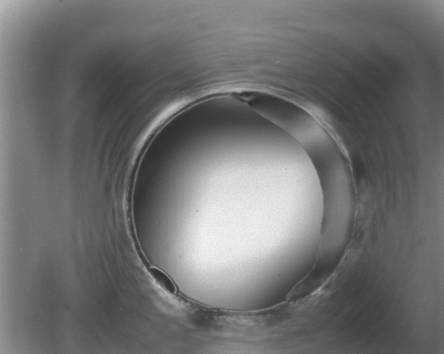 X0000081351197200701182038