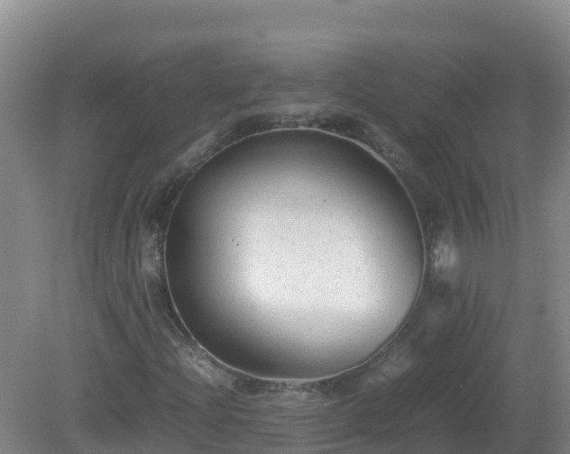 X0000081351204200701182038