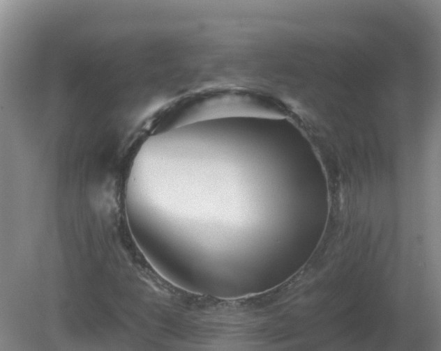 X0000081351206200701182038