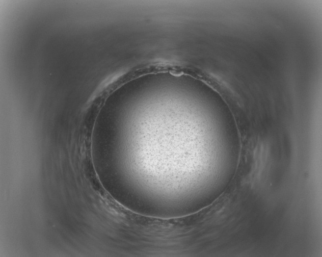 X0000081351207200701182038