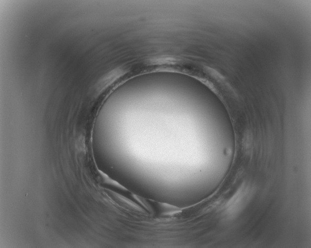 X0000081351209200701182038