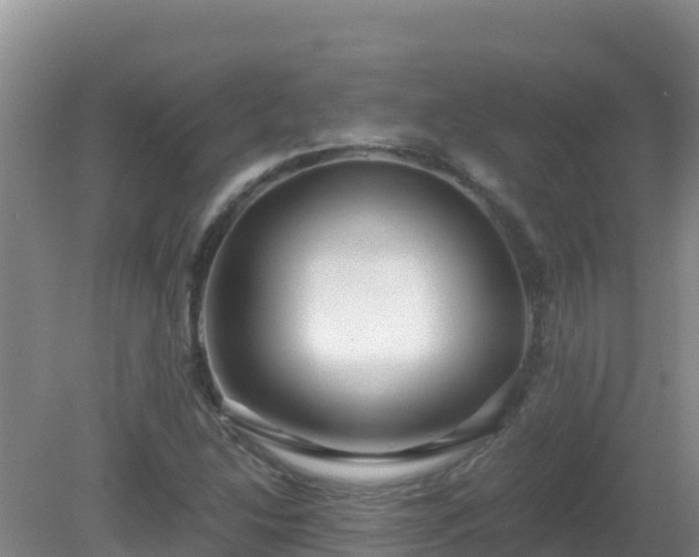 X0000081351214200701182038