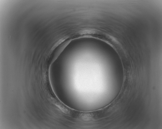 X0000081351217200701182038