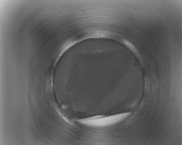 X0000081351226200701182038