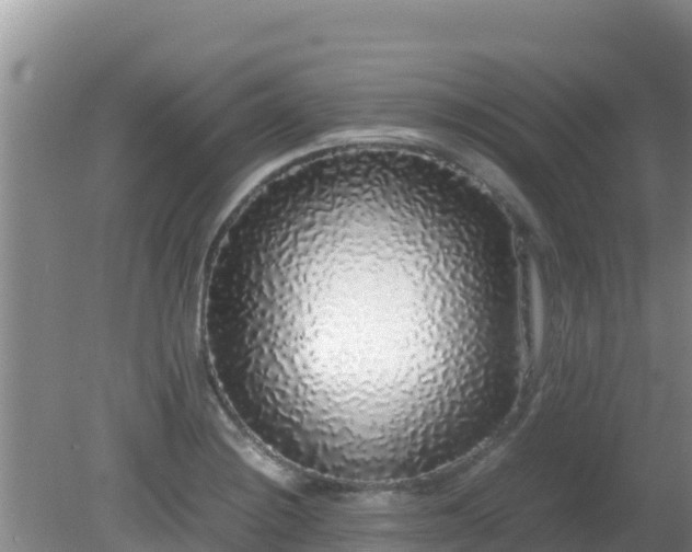 X0000081351228200701182038