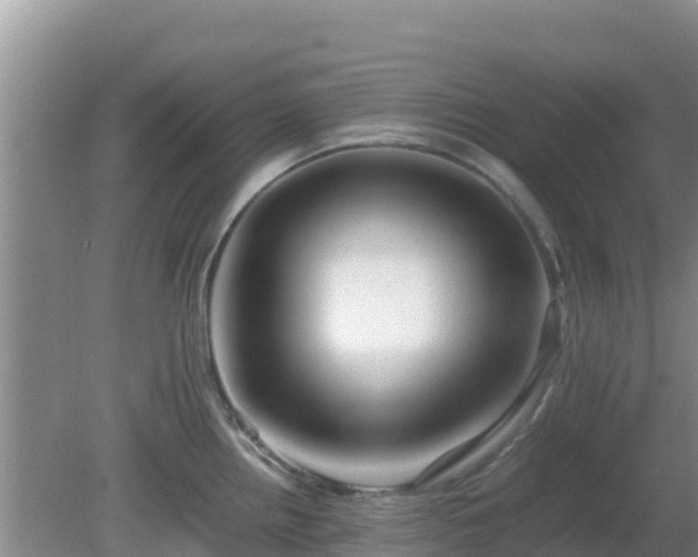 X0000081351242200701182038