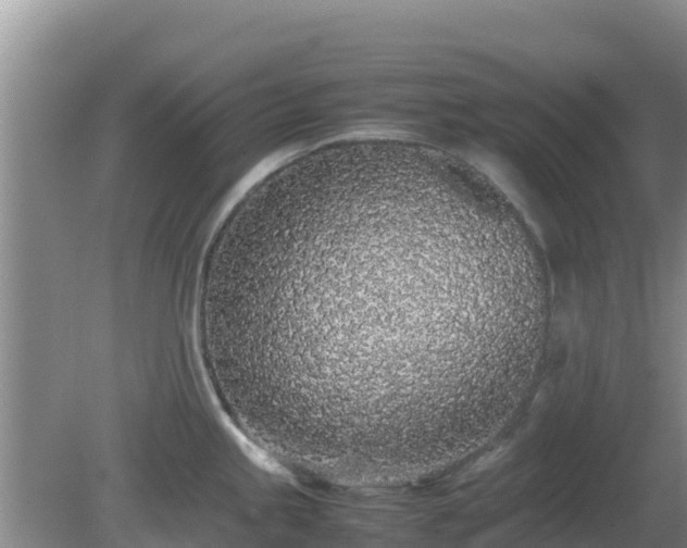 X0000081351245200701182038
