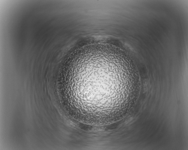 X0000081351249200701182038