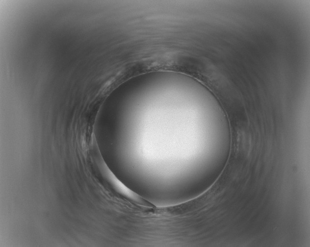 X0000081351250200701182037