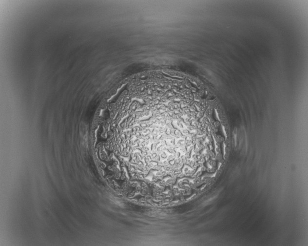 X0000081351251200701182037