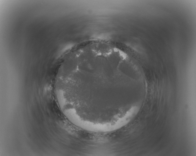X0000081351254200701182037