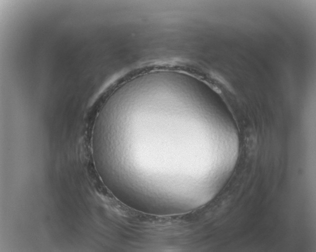 X0000081351256200701182037