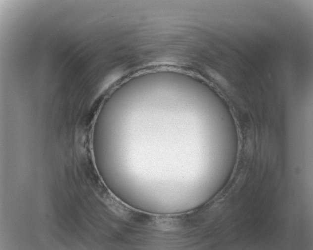 X0000081351258200701182037