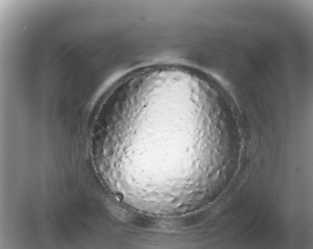 X0000081351271200701182037