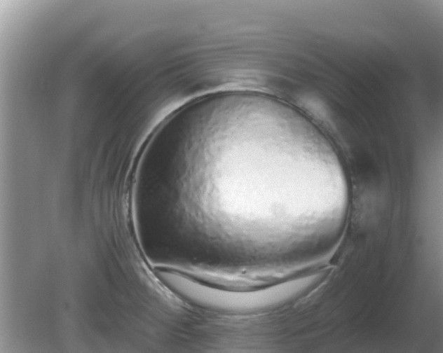 X0000081351284200701182037