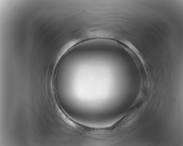 X0000081351293200701182037