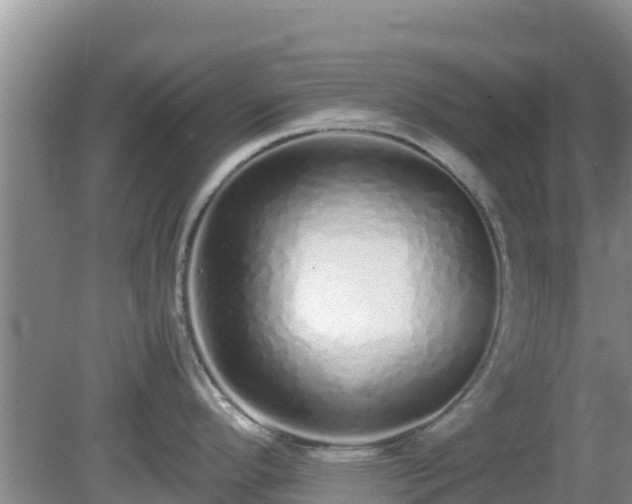X0000081351296200701182037