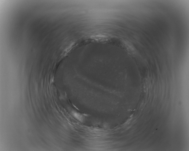 X0000081351298200701182036