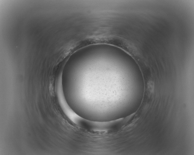 X0000081351300200701182036