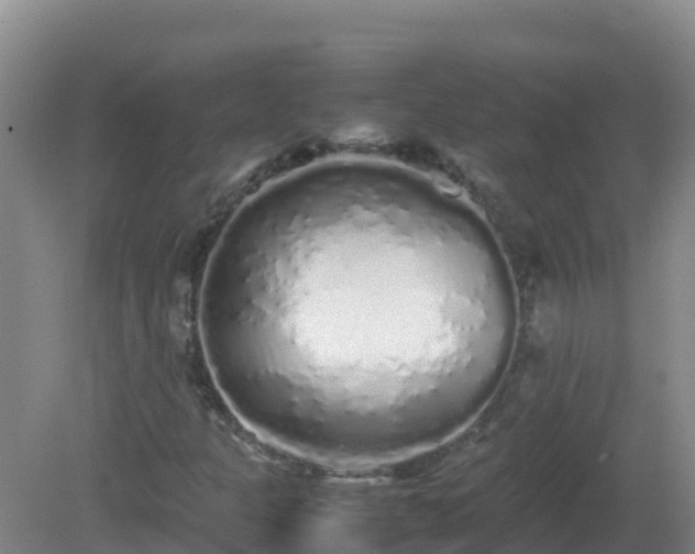 X0000081351301200701182036
