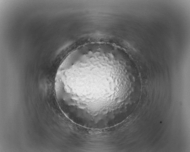 X0000081351302200701182036