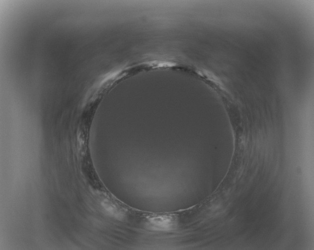 X0000081351303200701182036