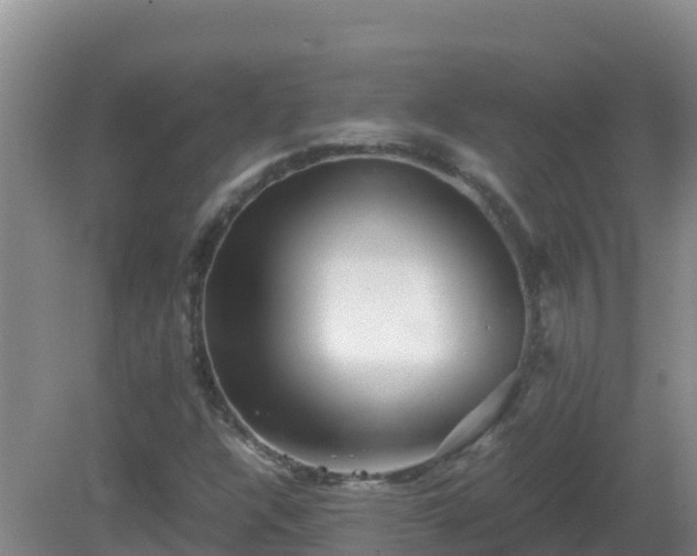 X0000081351304200701182036