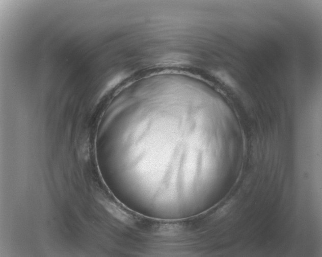 X0000081351306200701182036