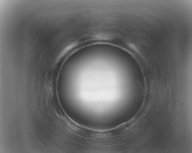 X0000081351307200701182036