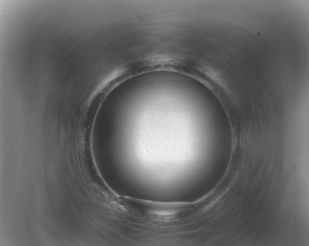 X0000081351309200701182036