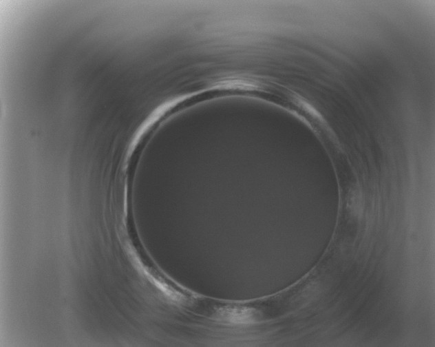 X0000081351323200701182036