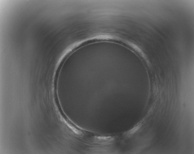 X0000081351327200701182036