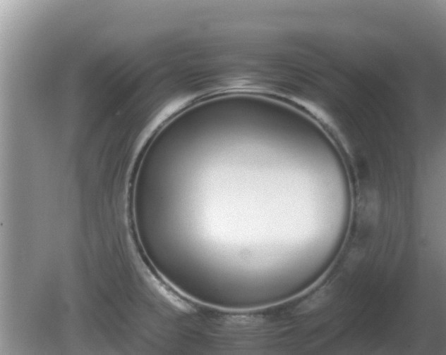 X0000081351333200701182036