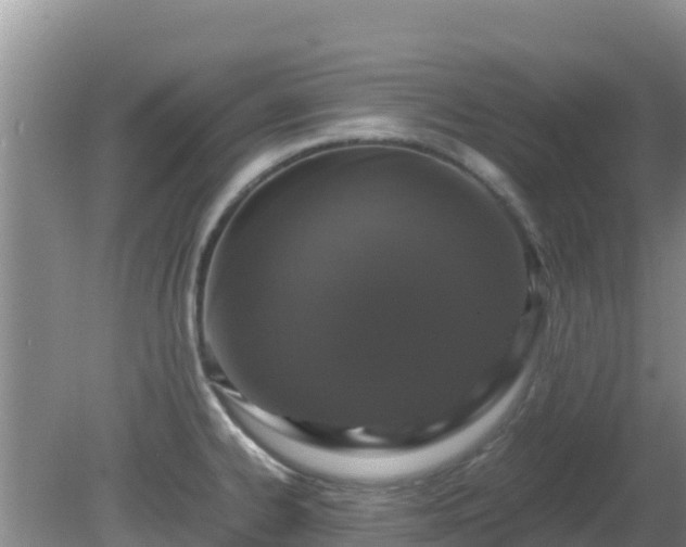 X0000081351334200701182037