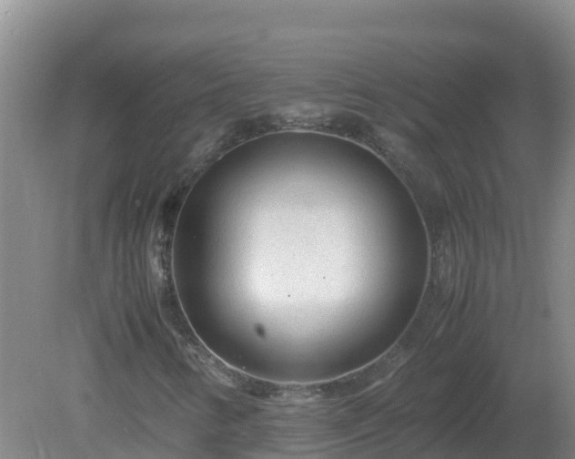 X0000081351346200701182036