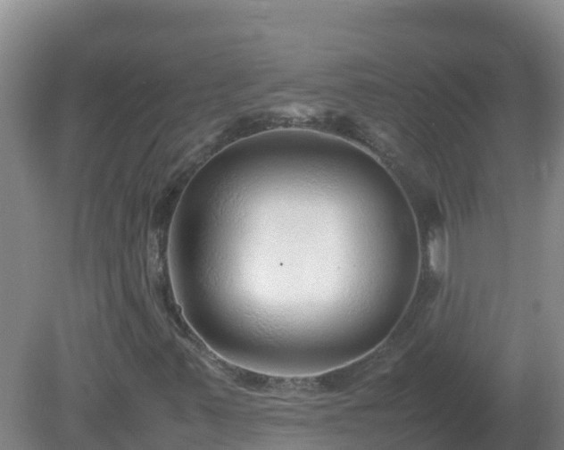 X0000081351347200701182036
