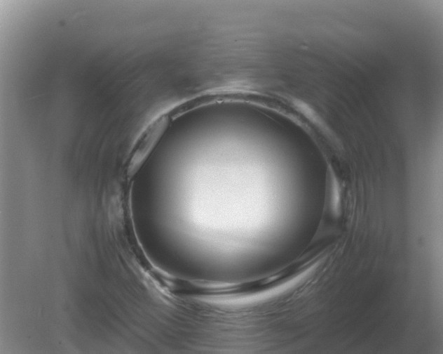 X0000081351356200701182036