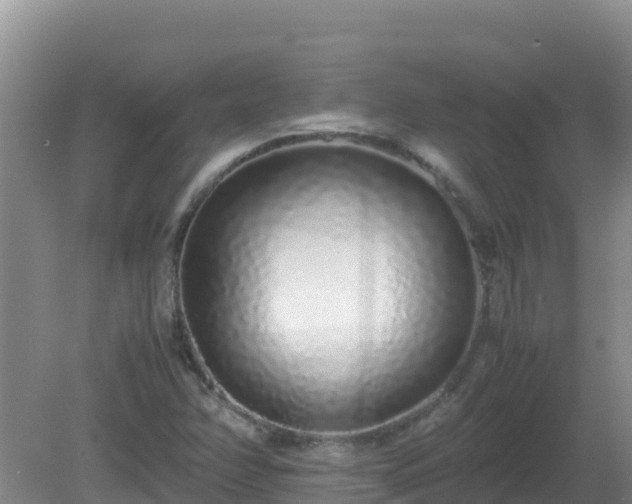 X0000081351358200701182036