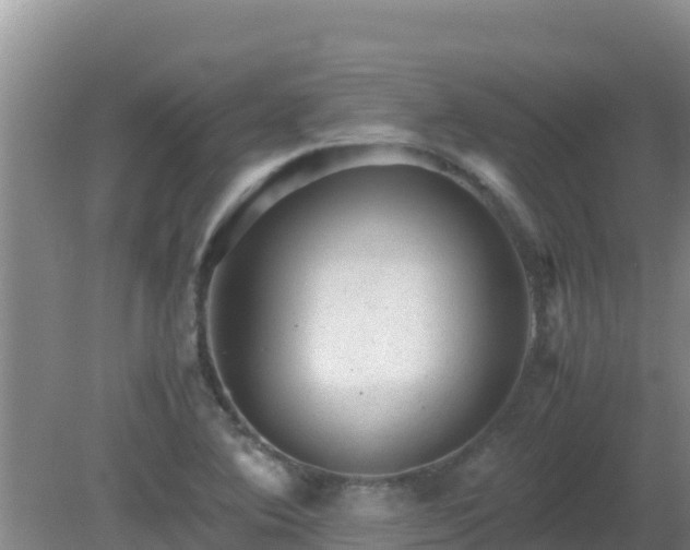 X0000081351364200701182036