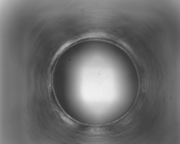 X0000081351366200701182036