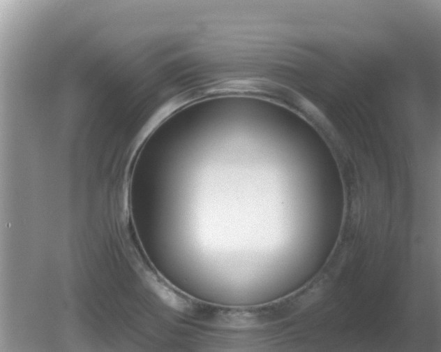 X0000081351370200701182035