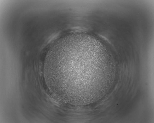 X0000081351399200701182034