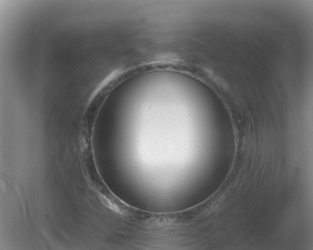 X0000081351400200701182034