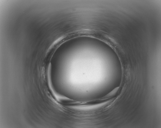 X0000081351402200701182034