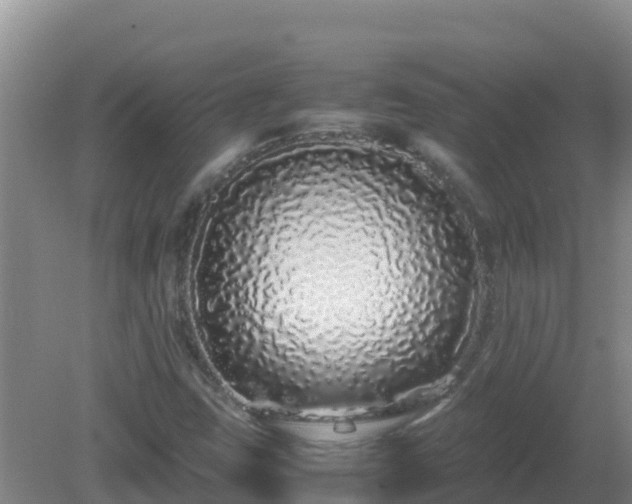 X0000081351403200701182034